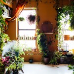 Model Summer Rayne Oakes, plant-filled apartments, Model Summer Rayne Oakes apartment, eco Model, Summer Rayne Oakes, model apartments, plant inspiration, how to grow plants indoors, best plants for apartments, williamsburg lofts