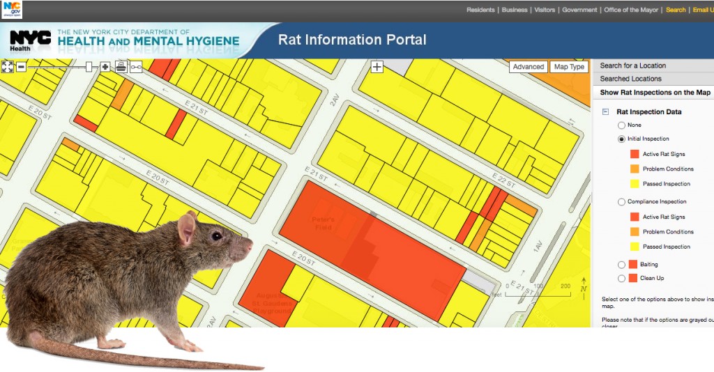 Find Out if a Building Has Rats Using the City’s Interactive Map