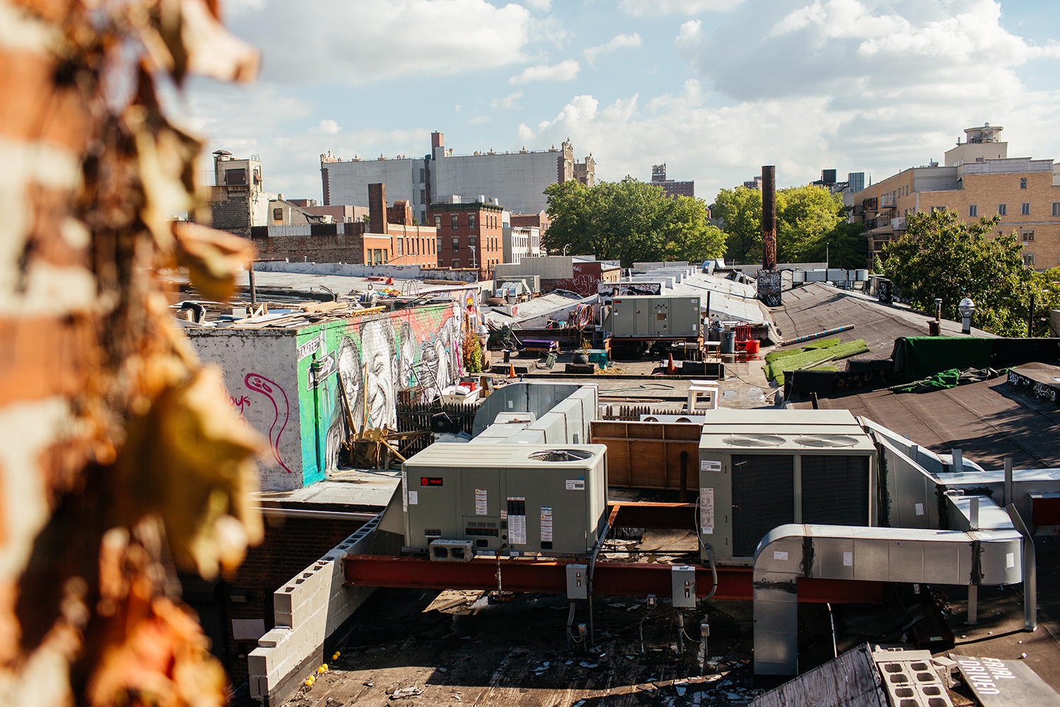 Artist-Chad-Lewine-Brooklyn-Navy-Yard-Loft-roof-view