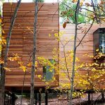 Steven Holl, wooden art gallery, T Space, Dutchess County, cedar facade, woodland art gallery, wooden cabin,