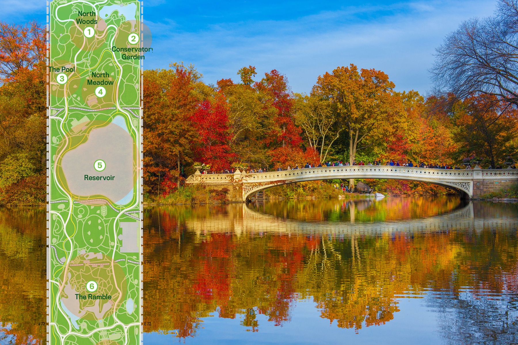 MAP: Find the colorful fall foliage of Central Park’s 20,000 trees
