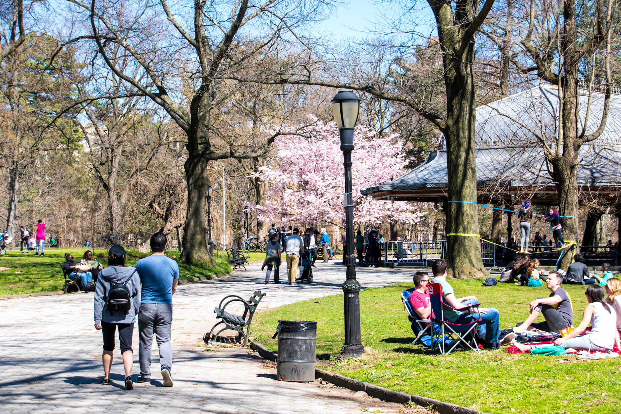 27 middle-income apartments up for grabs in Prospect-Lefferts Gardens, from $1,807/month