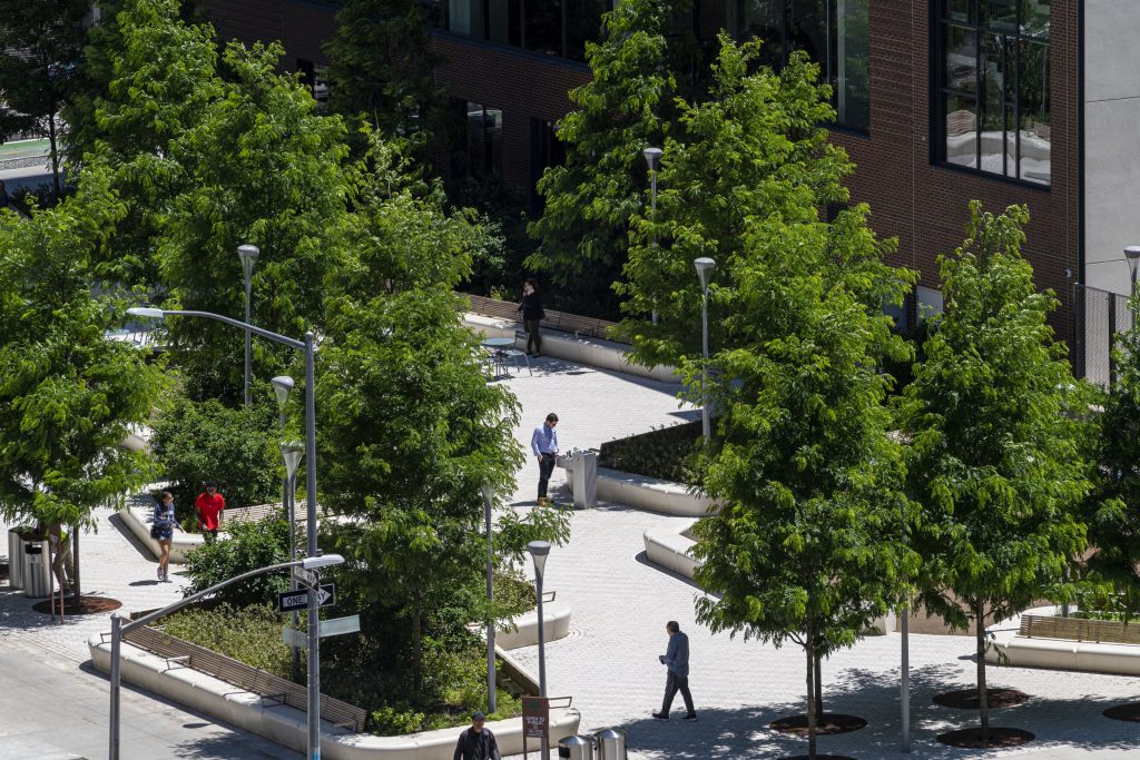 Essex Crossing’s public park is now open on the Lower East Side