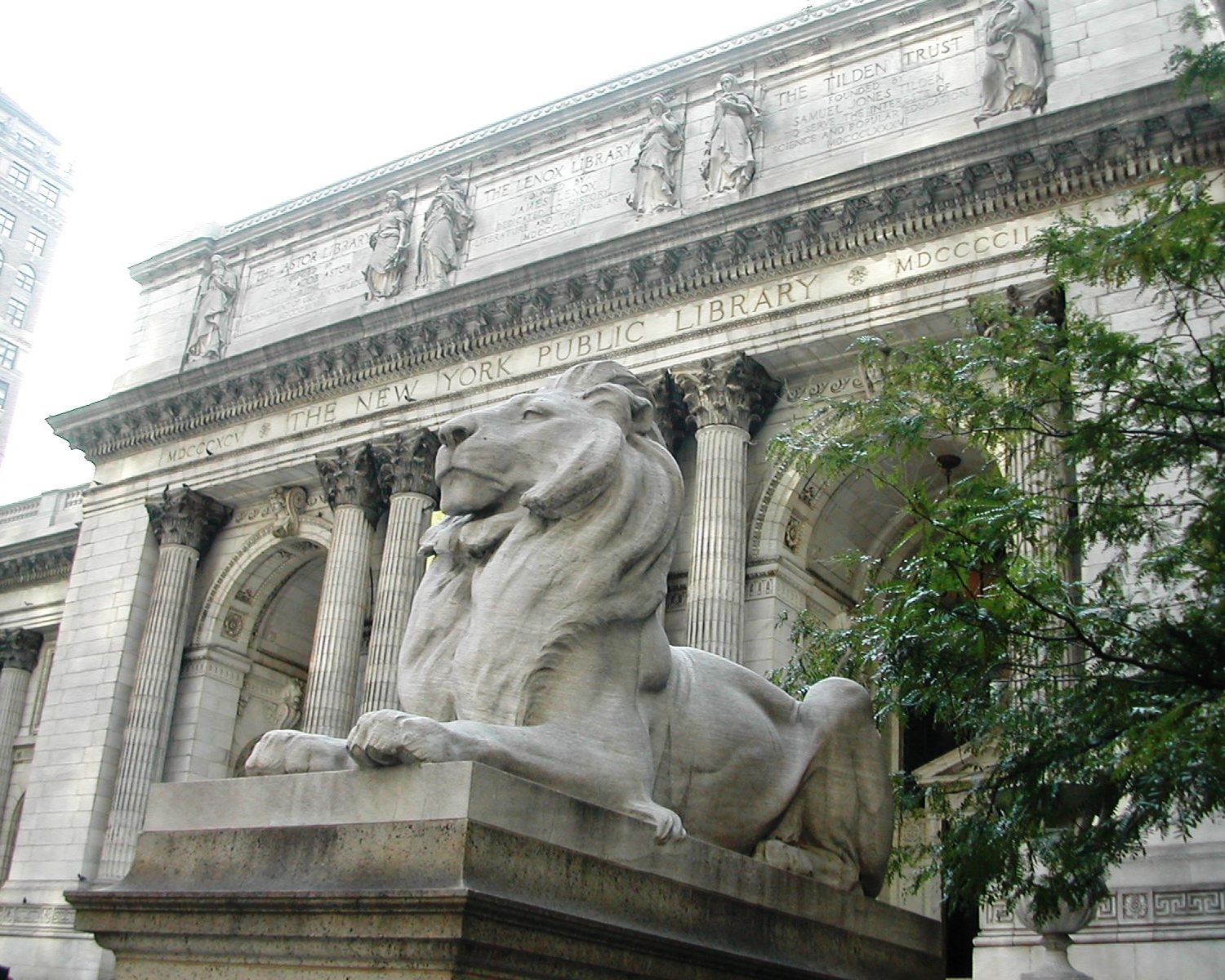 library, nypl, lions