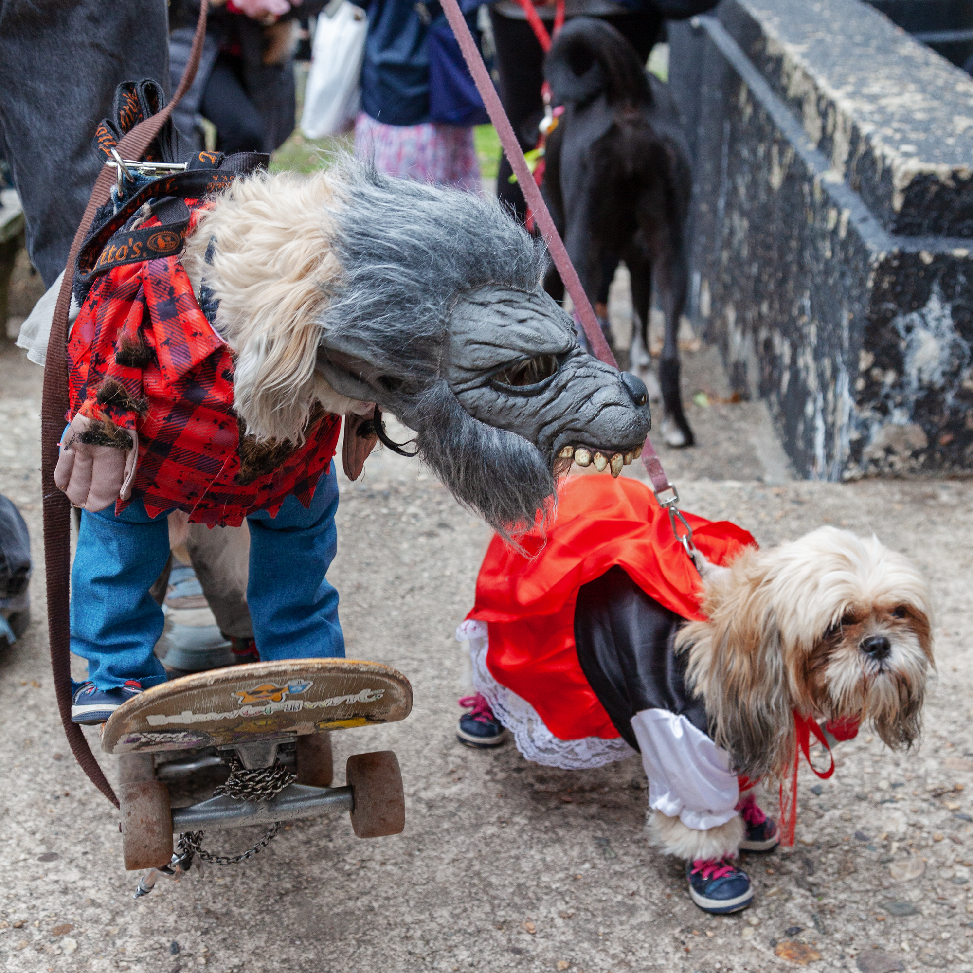 Tompkins Square Park, Halloween Dog Parade, NYC Halloween