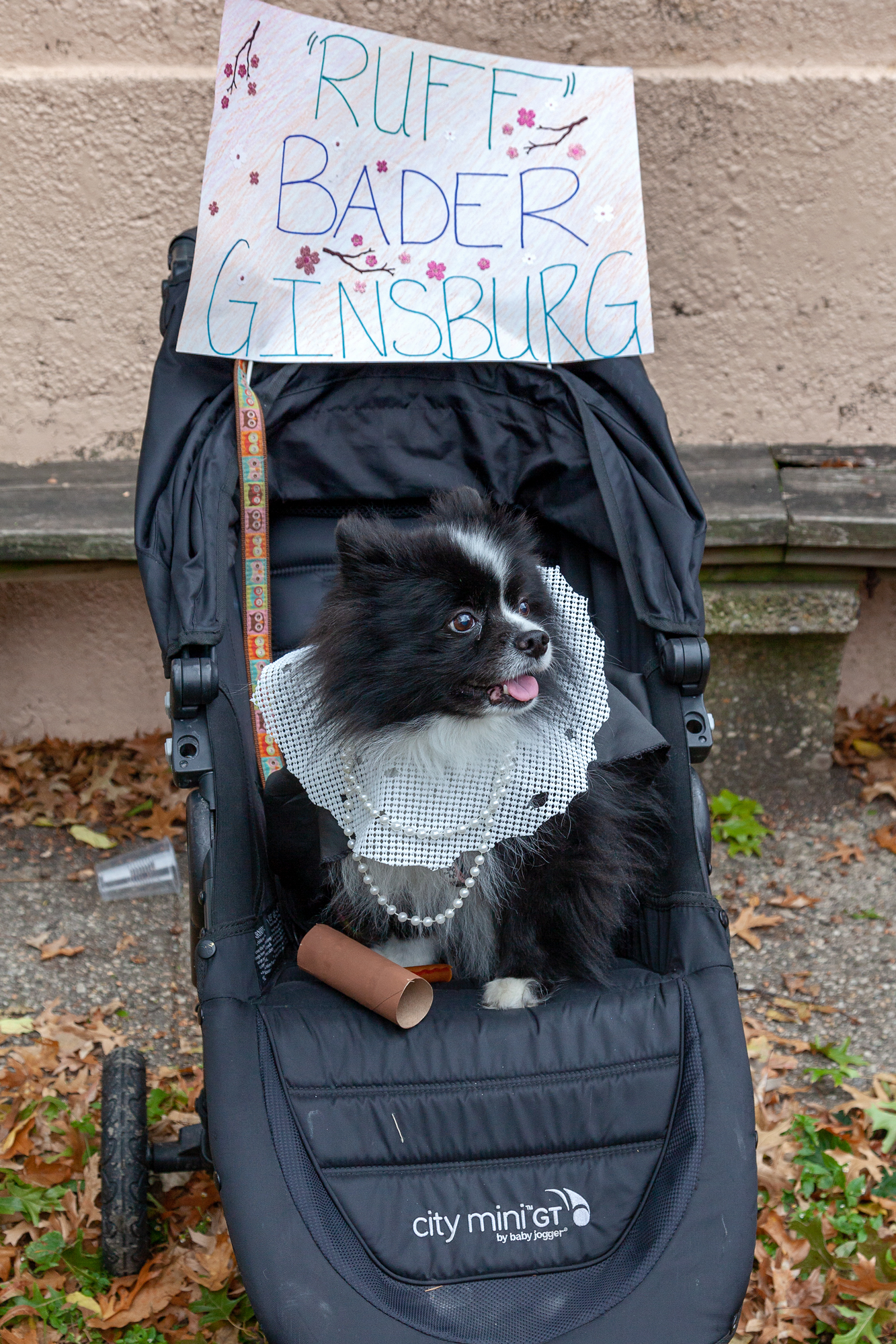 Tompkins Square Park, Halloween Dog Parade, NYC Halloween