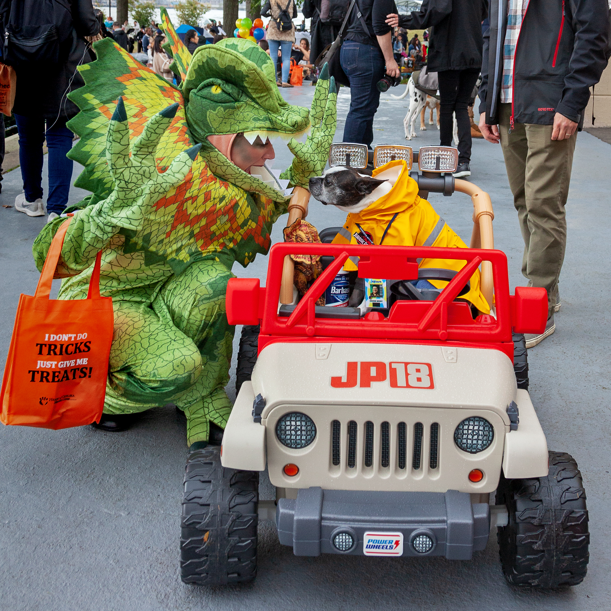 Tompkins Square Park, Halloween Dog Parade, NYC Halloween