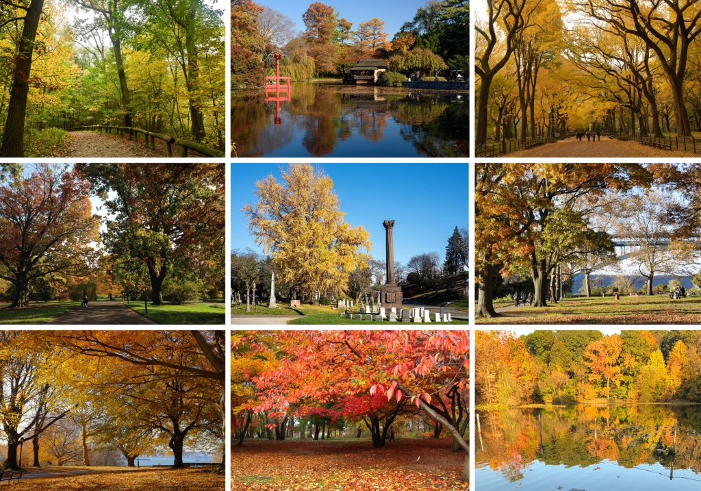 17 best spots to see fall foliage in NYC