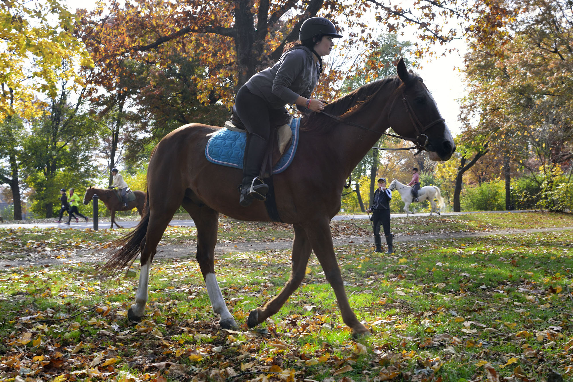 Where to go horseback riding in NYC